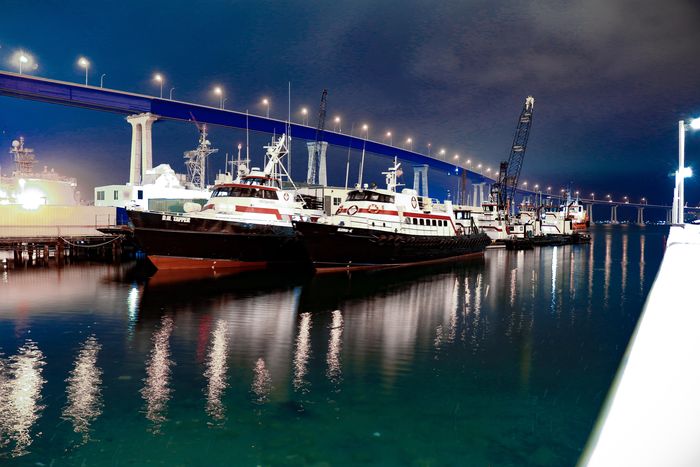Coronado bridge
