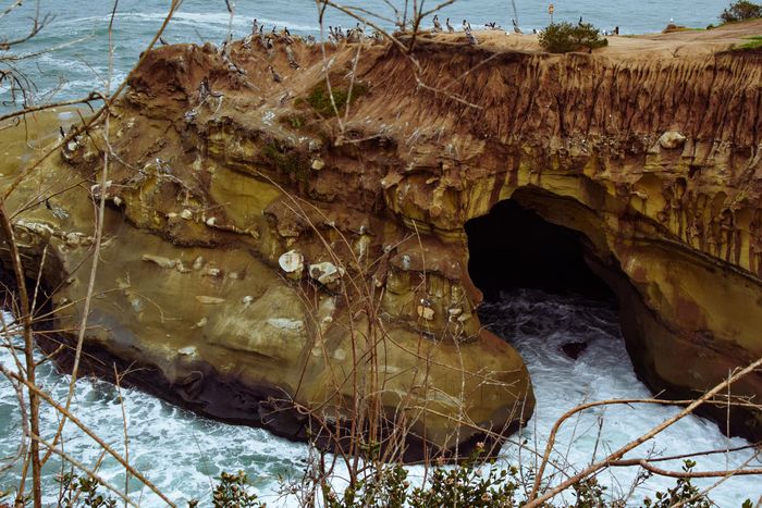 La Jolla Cove Last weekend