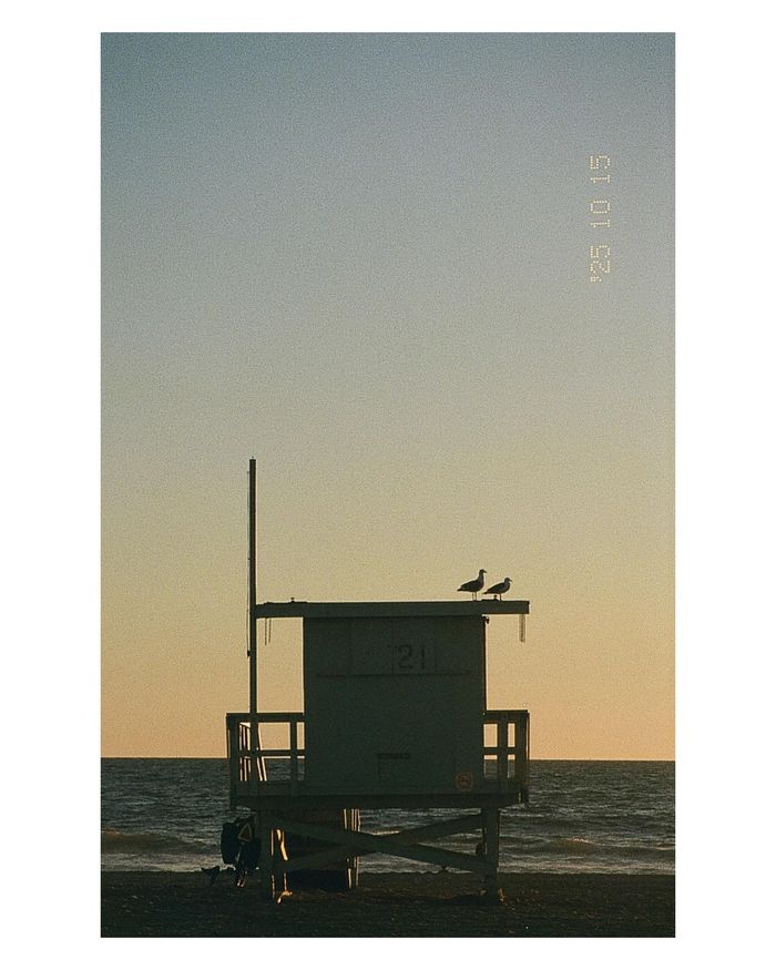 Venice Beach on film