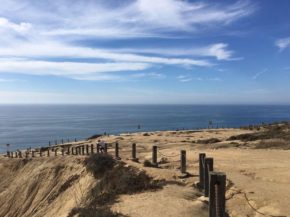 torrey pines