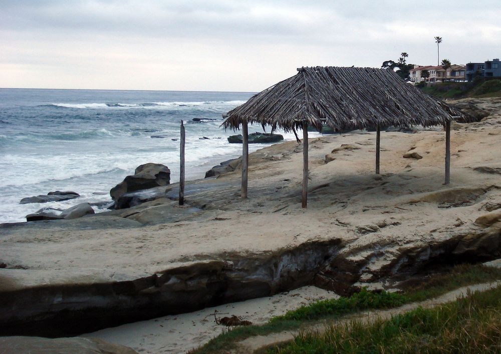 windansea